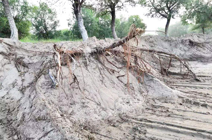 長(cháng)期采沙，生態(tài)遭到嚴重破壞
