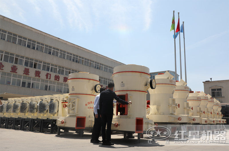 意向用戶(hù)參觀(guān)雷蒙磨粉設備